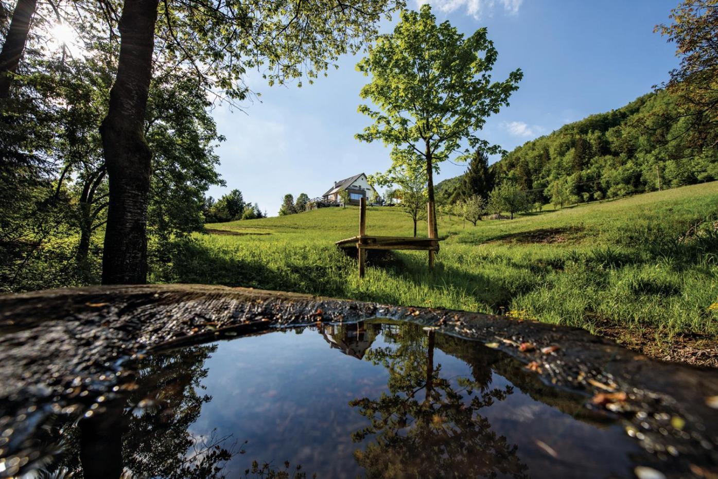 Na Kupcku Estate "Nature Reatreat & Wellness" Идрия Екстериор снимка